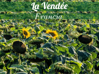 Cuando pases por aquí, pisa esta tierra con&nbsp;respeto.