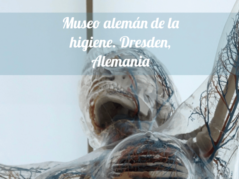 Deutsches Hygiene-Museum: Un Santuario del Conocimiento sobre Higiene y&nbsp;Salud