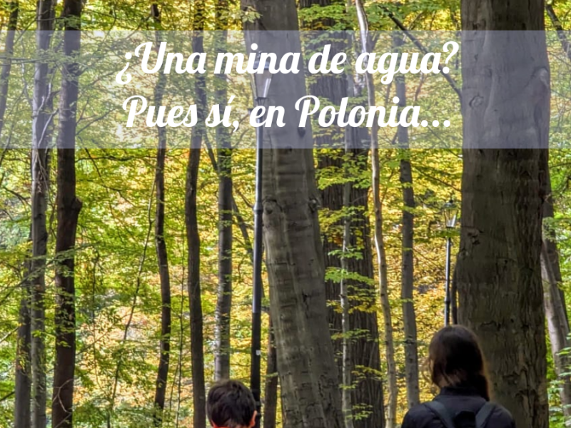 Black Trout Adit, una mina de agua en&nbsp;Polonia